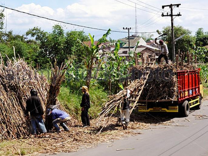 Satara: Plant the prices of sugarcane on the notice boards in five days, District Collector's notice | सातारा : पाठदिवसाà¤à¤¤ à¤à¤¸à¤¾à¤à¤¾ दर à¤à¤¾à¤°à¤à¤¾à¤¨à¥à¤¯à¤¾à¤à¤à¥à¤¯à¤¾ नà¥à¤à¥à¤¸ बà¥à¤°à¥à¤¡à¤¾à¤à¤µà¤° लावा, à¤à¤¿à¤²à¥à¤¹à¤¾à¤§à¤¿à¤à¤¾à¤±à¥à¤¯à¤¾à¤à¤à¥à¤¯à¤¾ सà¥à¤à¤¨à¤¾