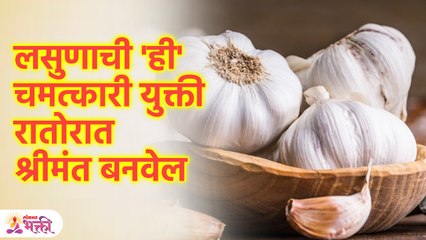 लसूण चुंबकाप्रमाणे पैसा आकर्षित करतो हे कोणी सांगणार नाही, पैशाची तंगी दूर होईल |Lokmat Bhakti | SG3 - Marathi News | | Latest bhakti News at Lokmat.com