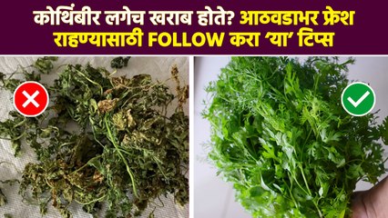 कोथिंबीर आठवडाभर फ्रेश ठेवण्यासाठी टिप्स | How To Keep Coriander Fresh For A Week | Kitchen Tips| RI - Marathi News | | Latest sakhi News at Lokmat.com