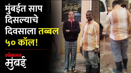 'मातोश्री'त साप...राऊतांच्याही बंगल्यात साप! मुंबईची आकडेवारी पाहा... - Marathi News | | Latest mumbai News at Lokmat.com