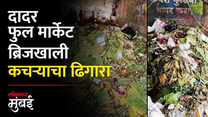 दादर फुलमार्केटमध्ये कचऱ्याचा ढिगारा, BMC चं दुर्लक्ष - Marathi News | | Latest mumbai News at Lokmat.com