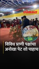 राष्ट्रीय व आंतरराष्ट्रीय विविध प्रकारचे पशु-पक्षी आणि प्राण्यांचे भांडुप मध्ये अनोखे प्रदर्शन - Marathi News | | Latest thane News at Lokmat.com