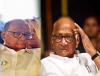 ‘सत्याचा मोर्चा’त शरद पवारांचे विधान; शिंदे गटाचे नेते म्हणाले, “५० वर्ष सत्ता भोगली...”