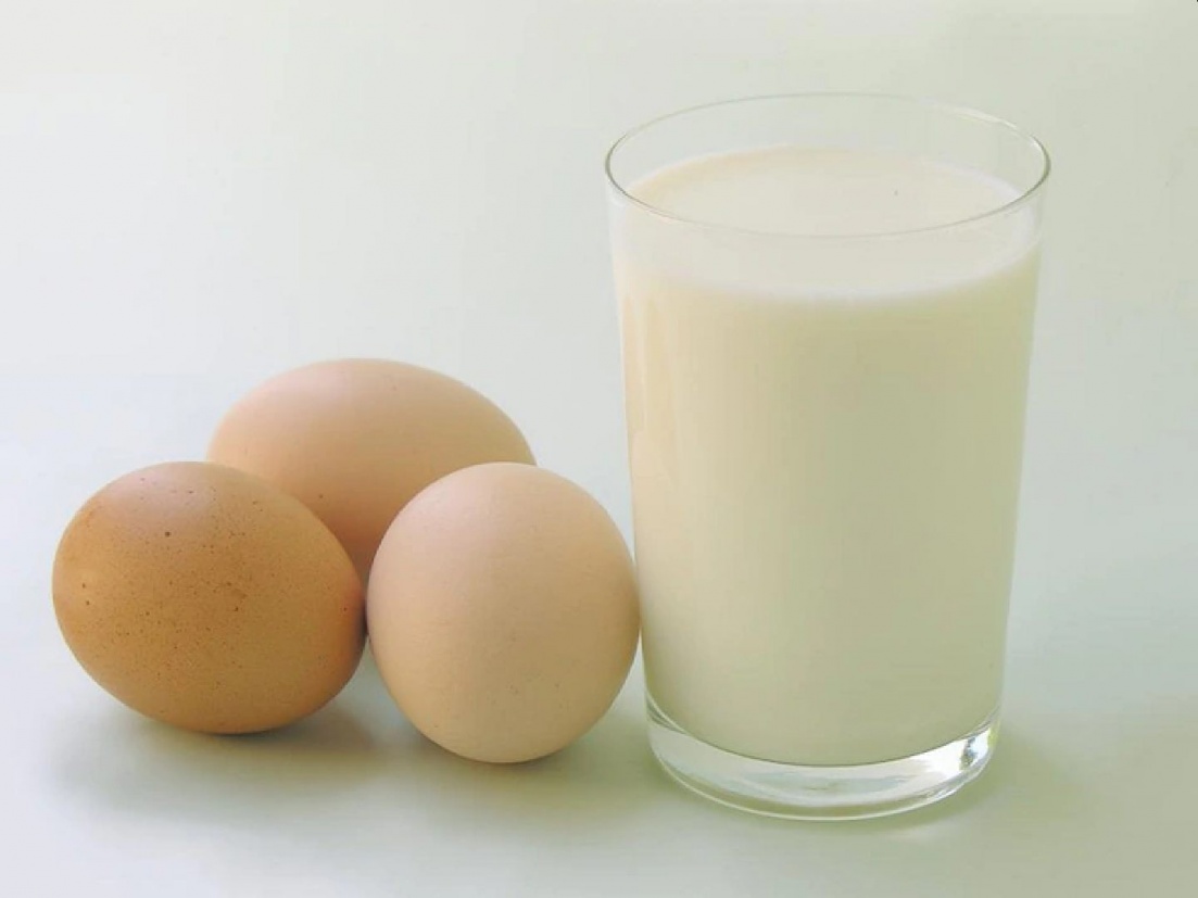 Interview Questions: 'असा' कोणता प्राणी आहे जो दूध आणि अंडी दोन्ही देतो?;  जाणून घ्या प्रश्नाचं उत्तर - Marathi News | Interview Questions: What is  the 'animal' that gives both milk and eggs ?;
