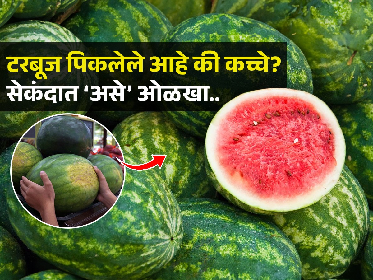 टरबूज घेताना लक्षात ठेवा ३ टिप्स, बघा न फोडता कसं ओळखायचं गोड, रसरशीत ...