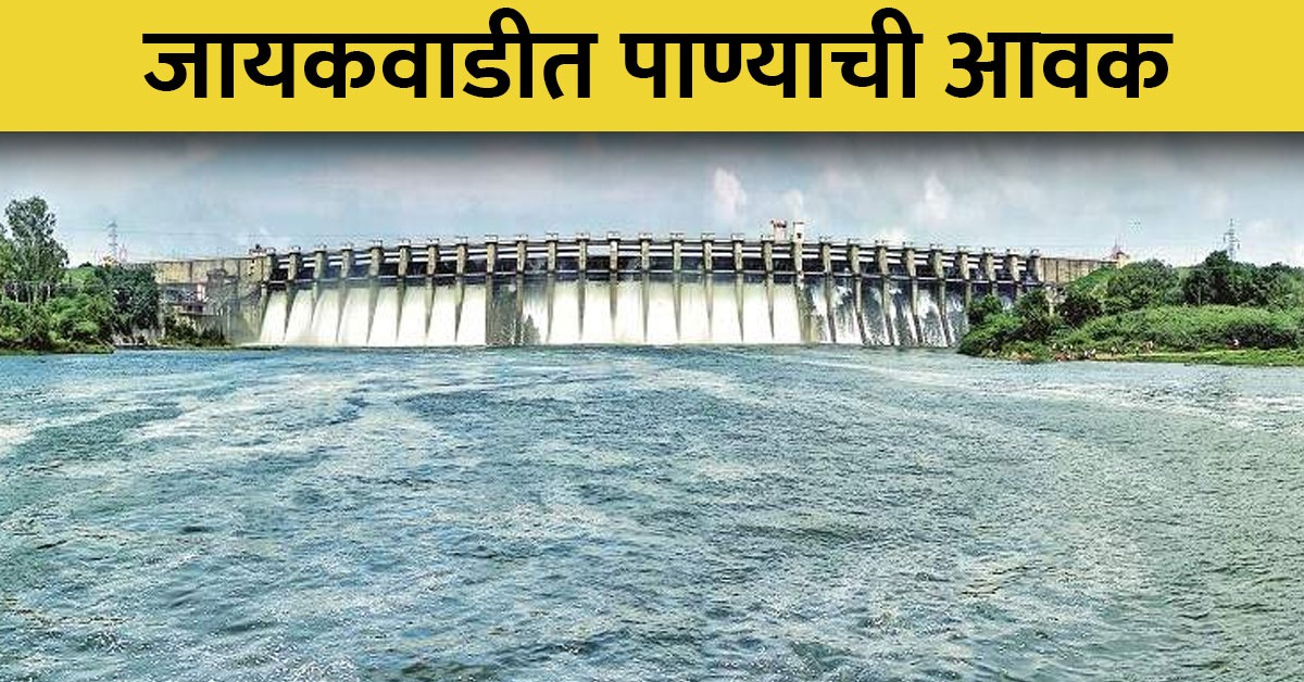 Jayakwadi Dam जायकवाडी धरणात पाण्याची आवक सुरू, काय आहे आजचा पाणीसाठा