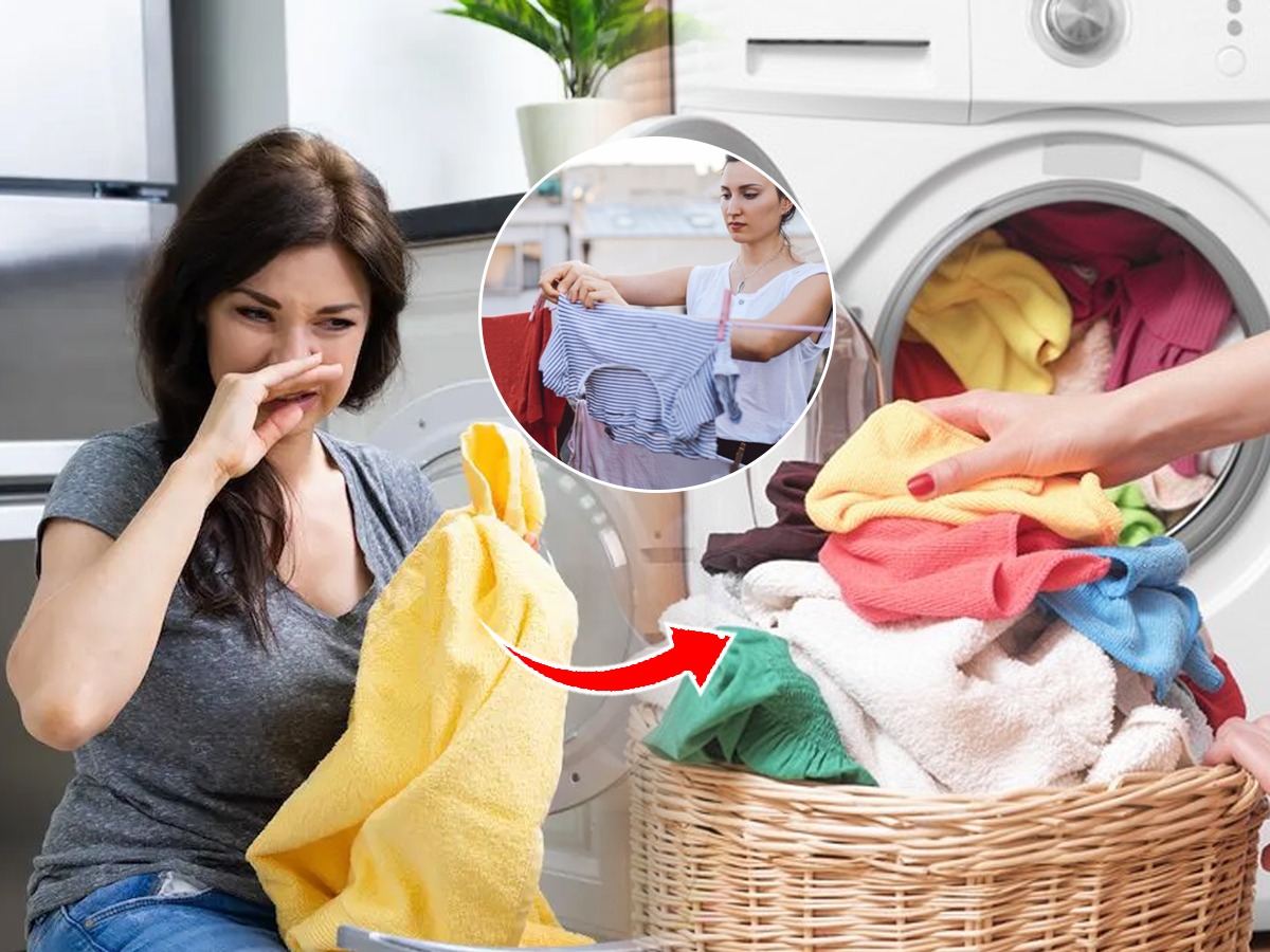पावसाळ्यात ओलसर कपड्यांना कुबट वास येतो? ५ सोपे उपाय, कपडे राहतील एकदम