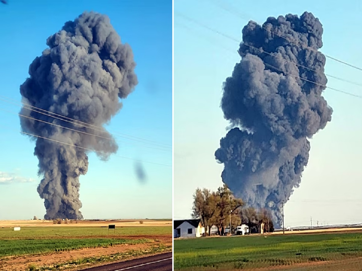 भीषण स्फोट! 18,000 हून अधिक गायींचा मृत्यू, टेक्सासमधील धक्कादायक घटना