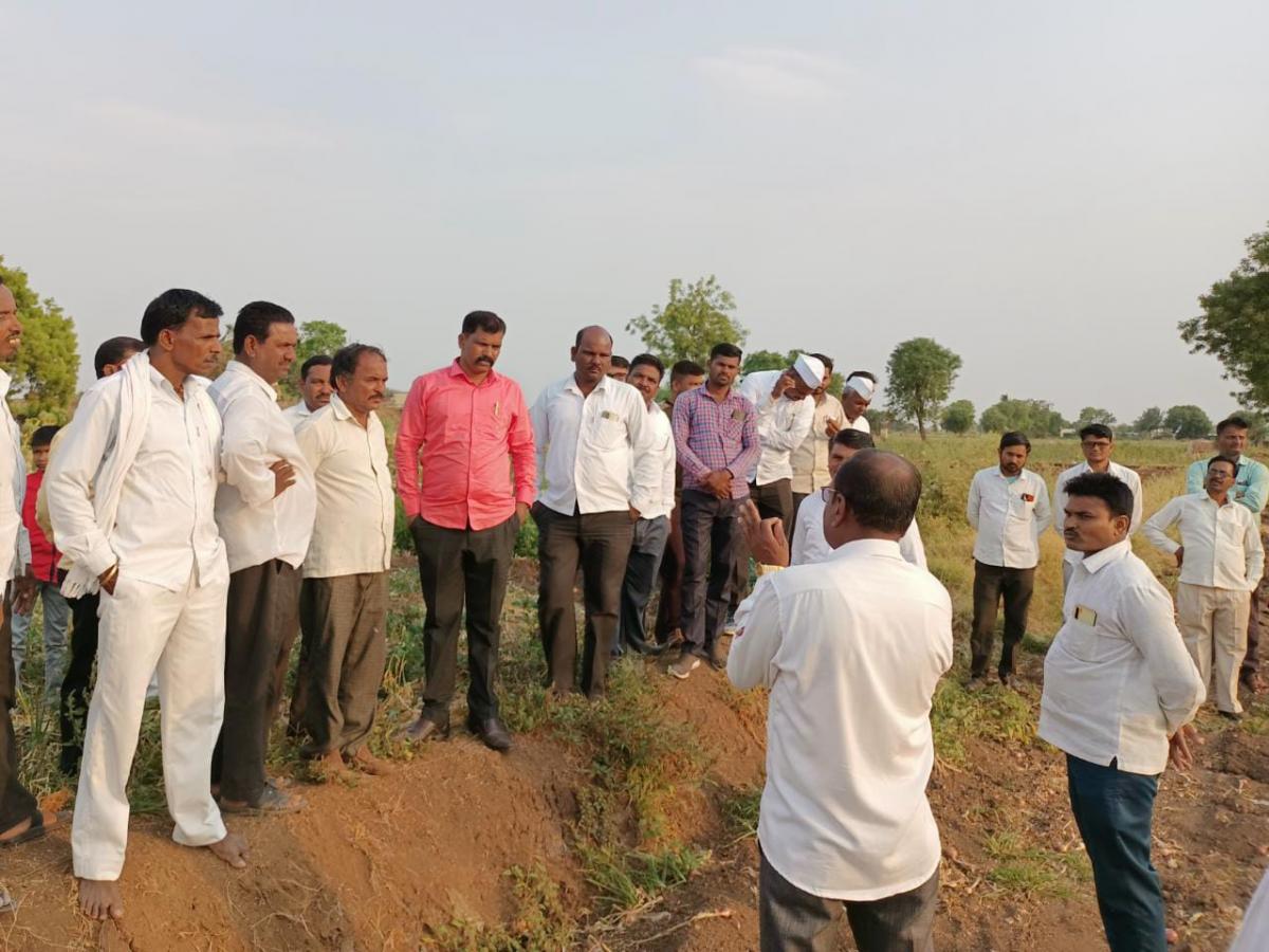 हजारो हेक्टर कांदा पाण्याअभावी जळाला Marathi News Thousands of