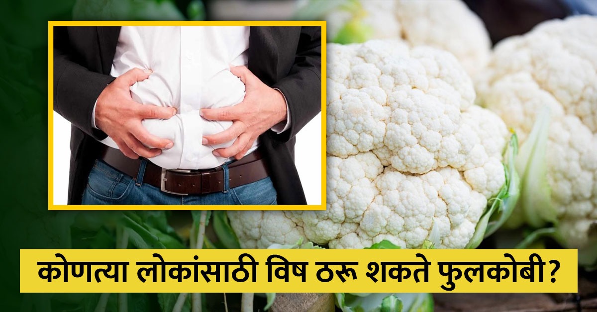 फुलकोबीचे फायदे खूप माहीत असतील आता नुकसान जाणून घ्या, होऊ शकतात गंभीर