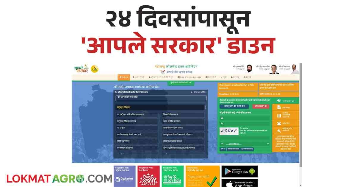 Aple Sarkar Portal : २४ दिवसांपासून 'आपले सरकार' डाउन; उत्पन्न, जातीचा ...