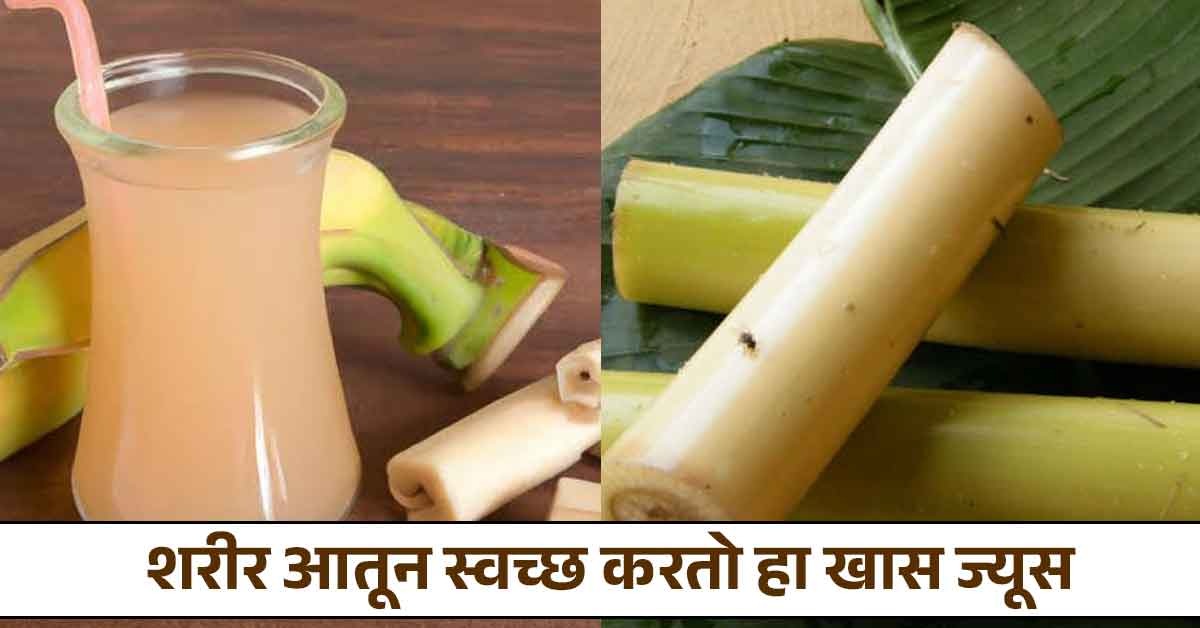 केळीच्या खोडाचा ज्यूस 'या' गंभीर समस्या करतो दूर, फायदे वाचून व्हाल अवाक्... Marathi News