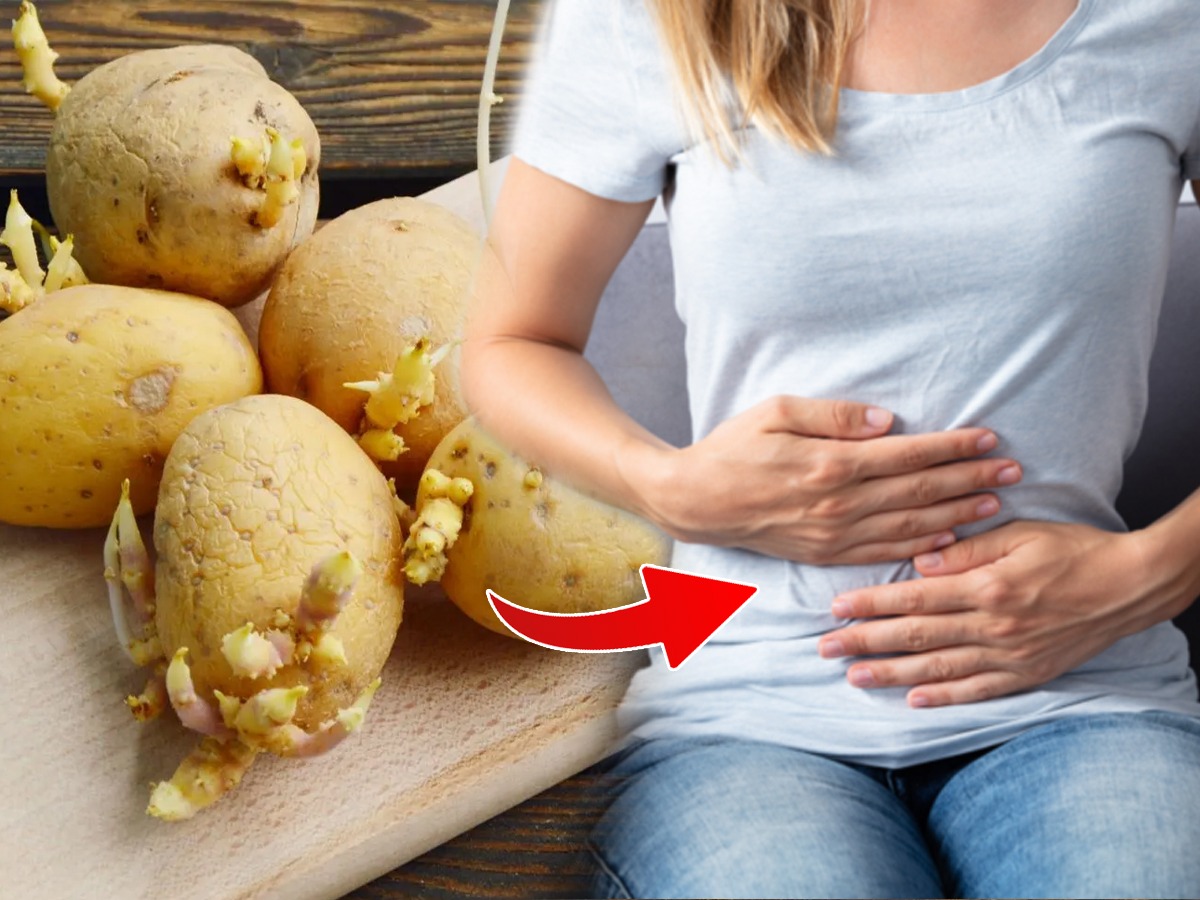 तुम्हीही मोड आलेले बटाटे खाता? असे करणे चांगले की वाईट? Marathi News