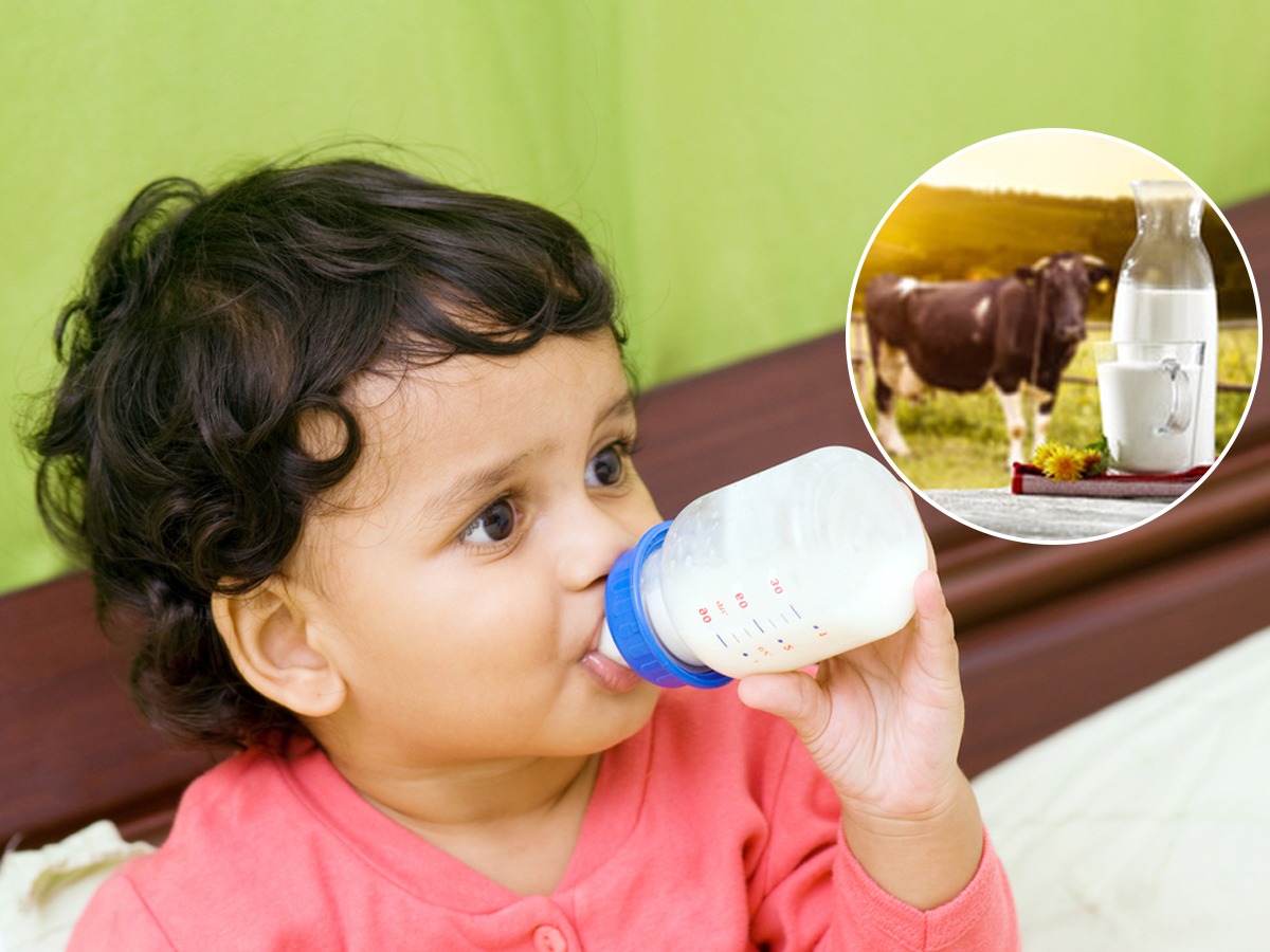 नवजात बाळांना अजिबात देऊ नका गायीचे दूध, डॉक्टर सांगतात यामागची ५ कारणं... Marathi News Know
