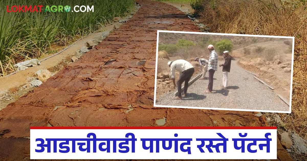 Panand Raste गावातील रस्त्यांना नंबर तसेच महापुरुषांची नावे व दुतर्फा झाडे; वाचा ...