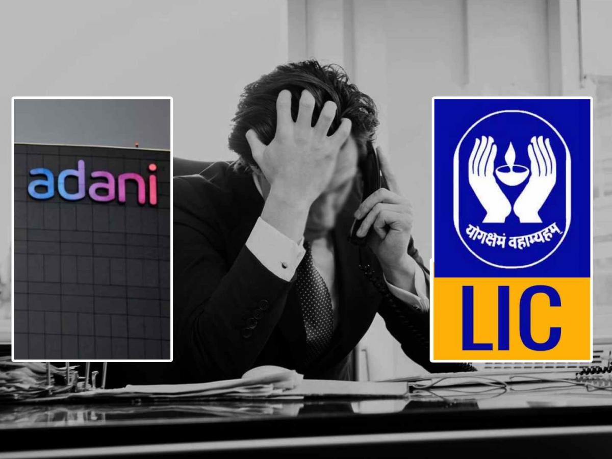 adani group shares price falls lic loses around 12000  crore rupees in 7 different.