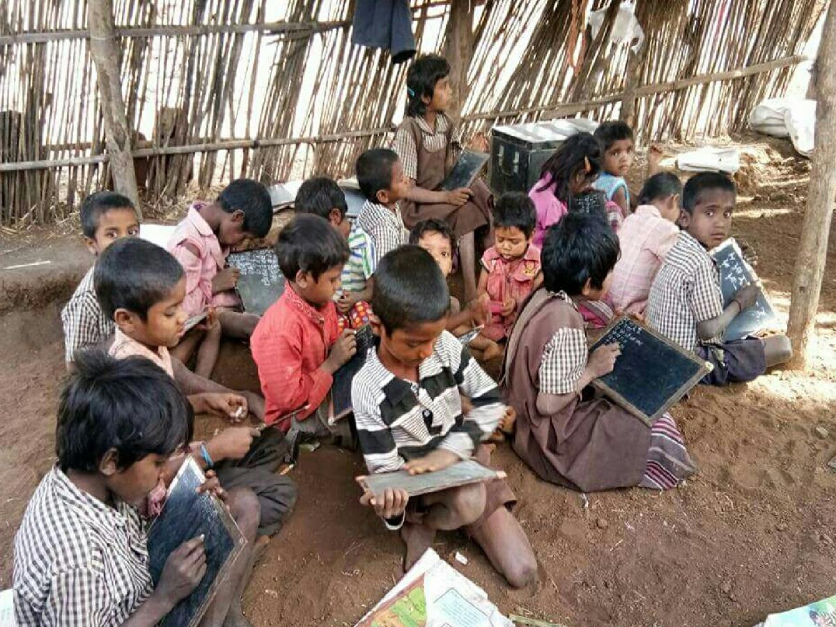 अवघ्या तीन शाळांत खुली आदिवासी शिक्षणाची कवाडं, शासनाच्या दुर्लक्षामुळे ...