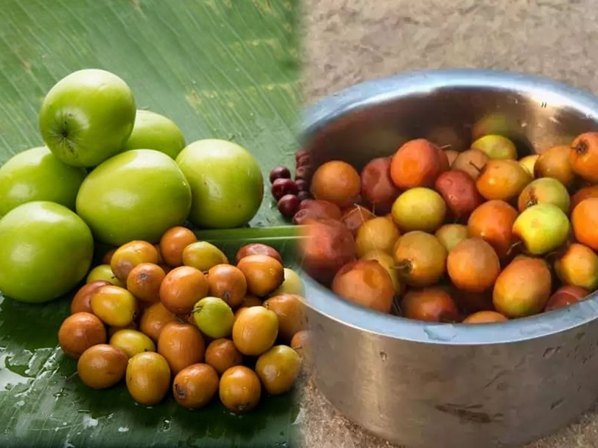 थंडीत खायलाच हवीत न विसरता भरपूर बोरं, ५ फायदे आरोग्य आणि