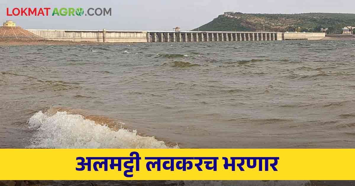 Almatti Dam अलमट्टी धरण किती टक्के भरले? पश्चिम महाराष्ट्रातील या
