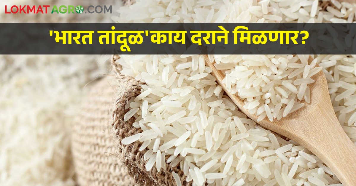 'भारत तांदूळ' या ब्रँड अंतर्गत ग्राहकांना तांदळाची किरकोळ विक्री सुरू ...