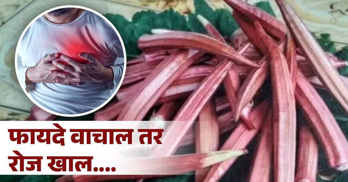 तुम्हालाही माहीत नसतील लाल भेंडीचे जबरदस्त फायदे; ह्रदयरोग, डायबिटीसवर ठरते रामबाण उपाय