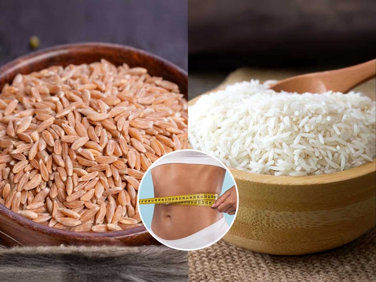 Weigh Rice भात खाणं सोडू नका, फक्त तांदूळ बदला! वजन घटवण्यासाठी 'व्हाईट' की ...