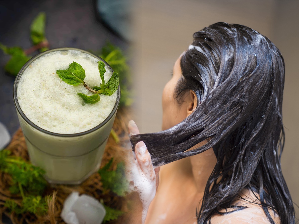 Spiced Buttermilk With Amla Health Benefits And How To Make