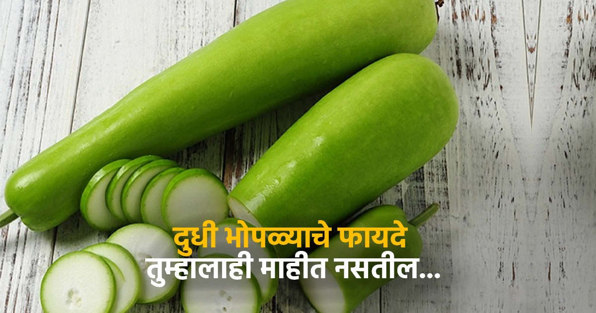 दुधी भोपळा खाण्याचे इतके फायदे वाचून रोज खाल याची भाजी, डॉक्टरकडेही