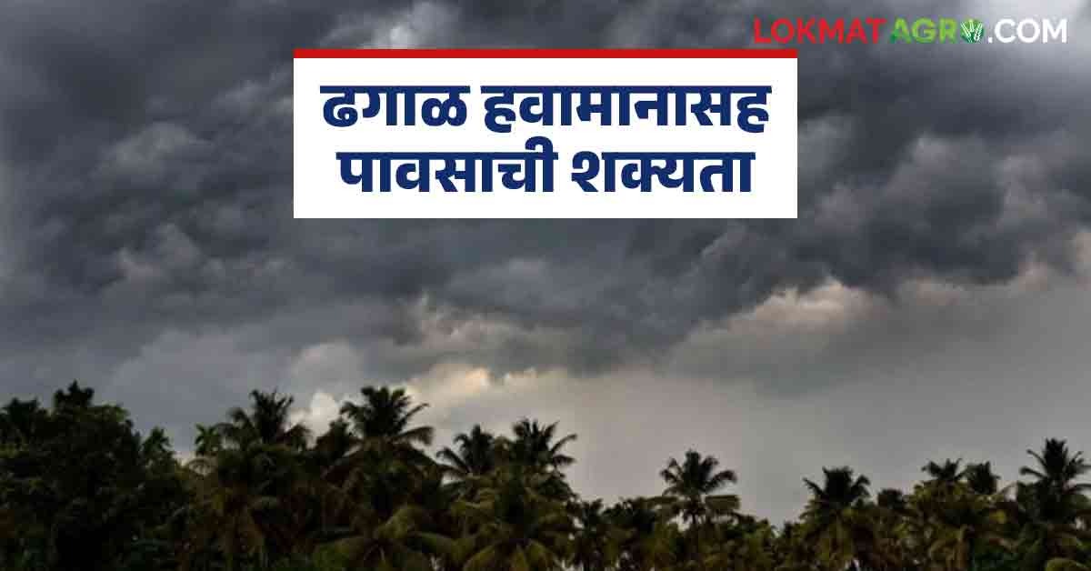 Rain Alert : पुढील तीन दिवसांत पावसाची शक्यता; 'या' जिल्ह्यांना 