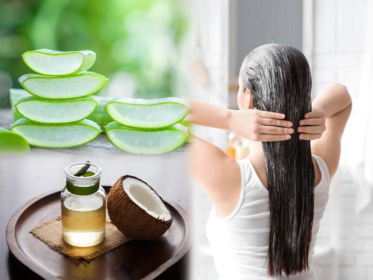 कोरफड आणि खोबऱ्याच्या तेलाचा हेअर मास्क.. ६ फायदे, रुक्ष बेजान केस