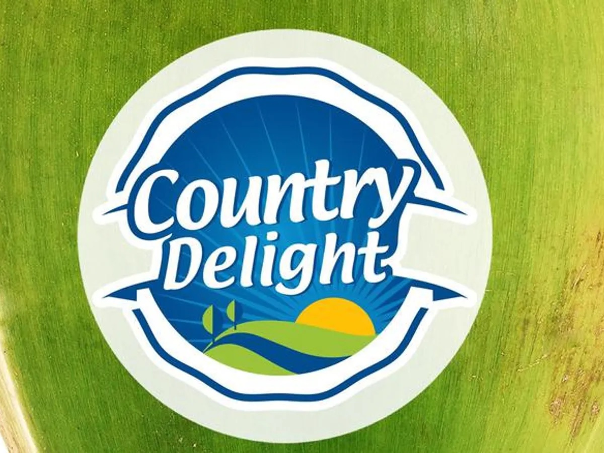 Country delight app se milk kaise order kare ? | How To Use Country Delight  App [Hindi] - YouTube