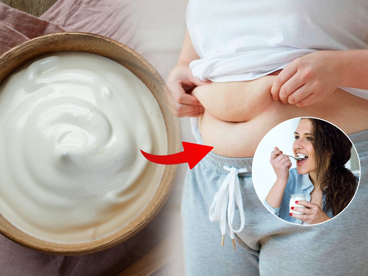 दही खाल्ल्याने वजन वाढते का? दही नक्की कुणी खावे, कुणी खाणे ठरते घातक