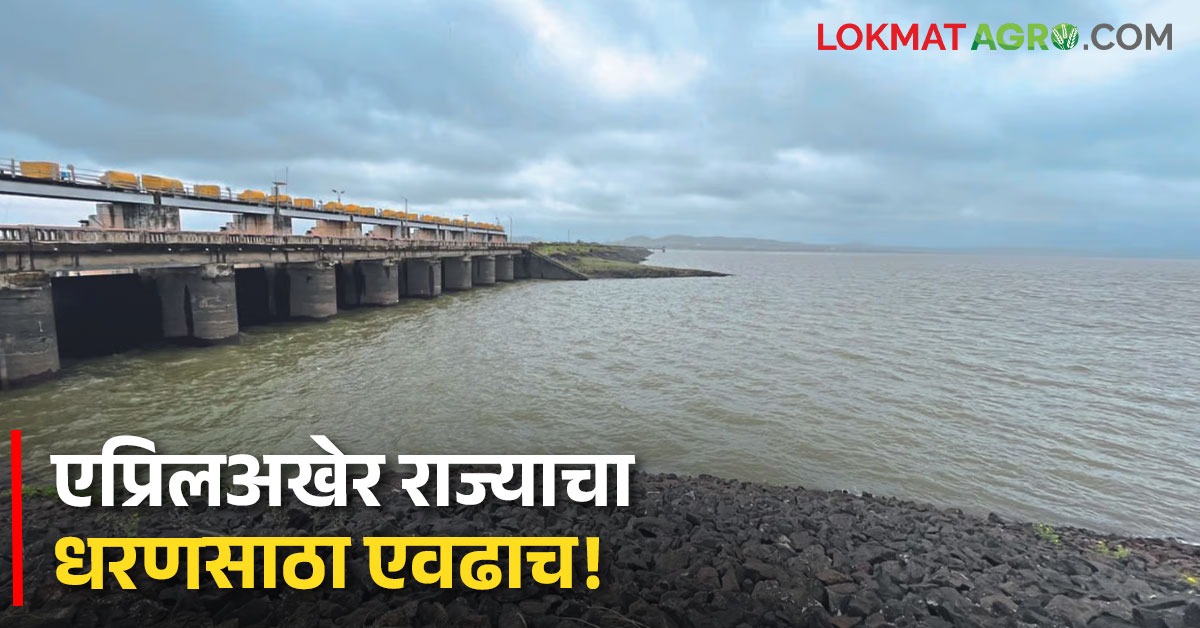 Dam Storage:एप्रिलअखेर राज्यातील धरणांमध्ये उरलंय एवढच पाणी, वाचा ...