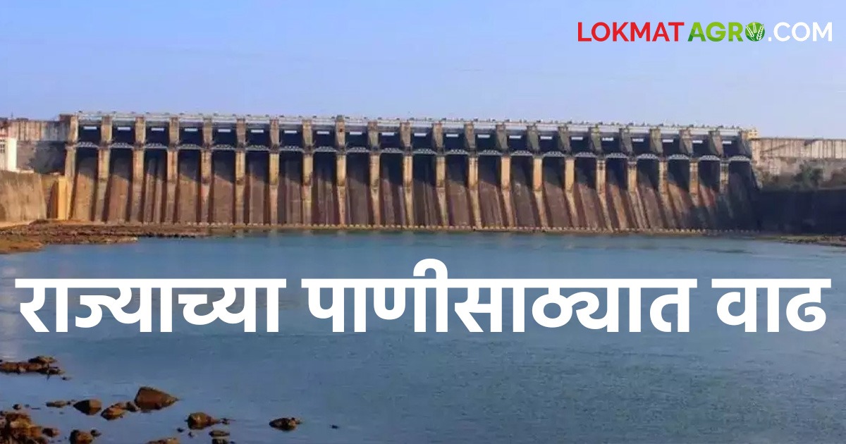 Maharashtra Dam Storage कोणत्या धरणाच्या पाणीसाठ्यात झाली वाढ; वाचा ...