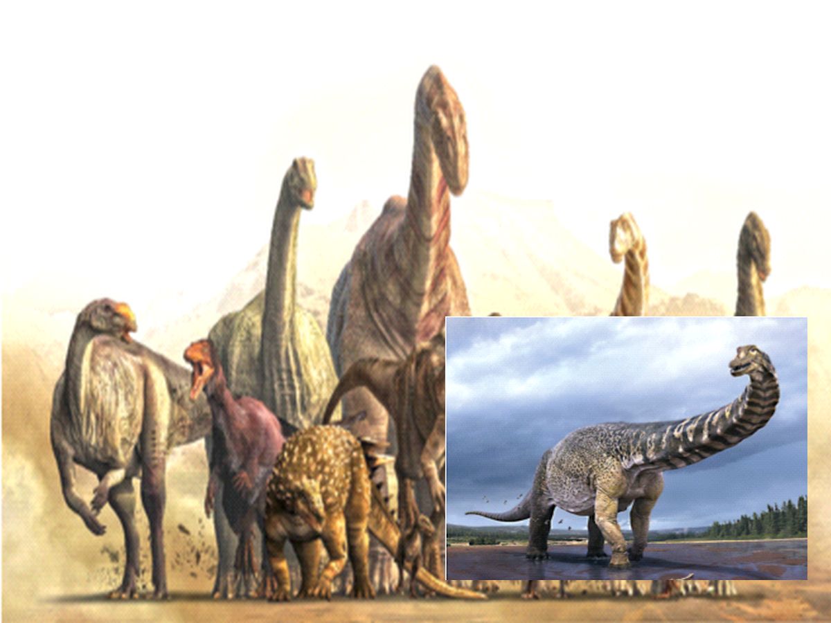 dinosaurs डायनासोर खरंच पुन्हा जिवंत होईल? Marathi News Will