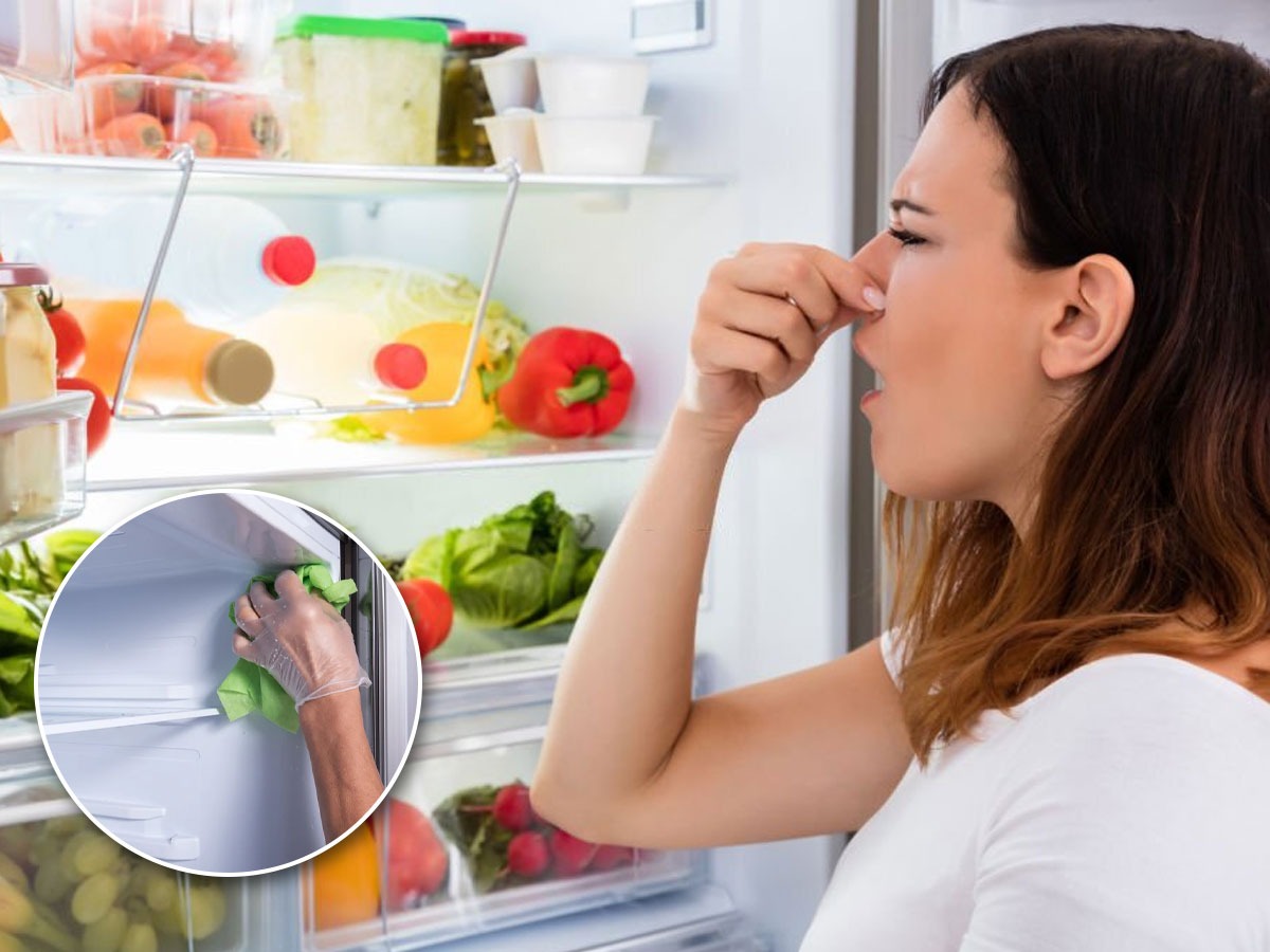 फ्रिज उघडला की आतून कुबट वास येतो? ३ सोप्या ट्रिक्स, फ्रिजमधला वास होईल