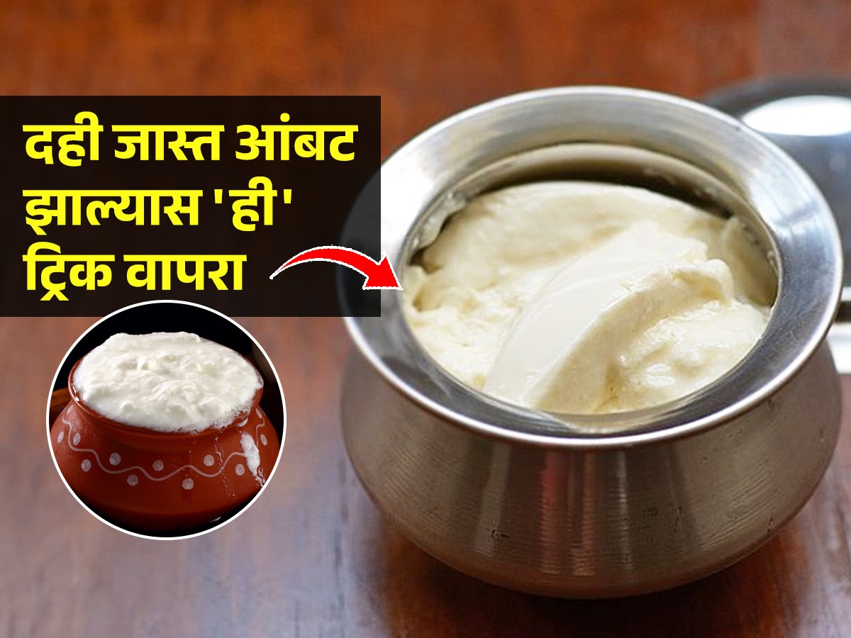 घरी लावलेले दही खूपच आंबट झाले? पाणी न घालता करा १ युक्ती, दही होईल