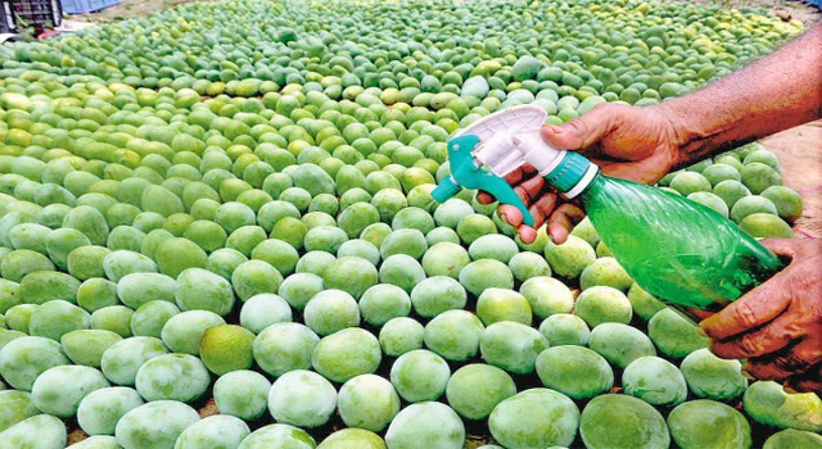 आंबे पिकविण्यासाठी इथिलीन स्प्रे, चायनीज पावडरचा प्रमाणापेक्षा अधिक वापर  Akola Marathi News | Ethylene spray for ripening mangoes | Latest Akola  News at Lokmat.com