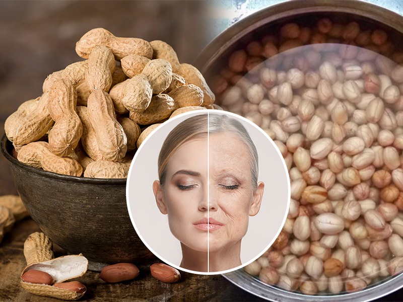 Peanut Benefits कॅल्शियम, व्हिटॅमिन्सचा खजिना आहेत शेंगदाणे; रोज