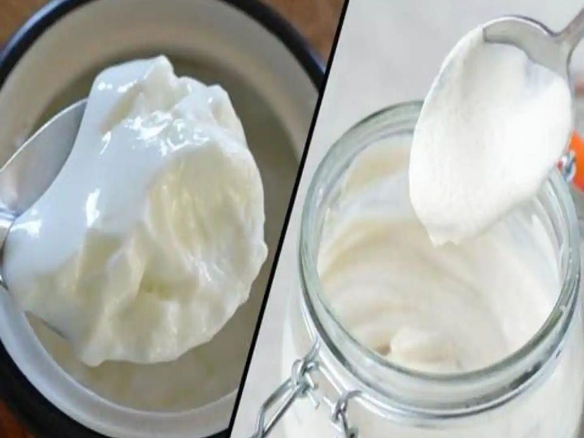How to Make Perfect Dahi at Home मलईदार, ताज्या , घट्ट दह्यासाठी