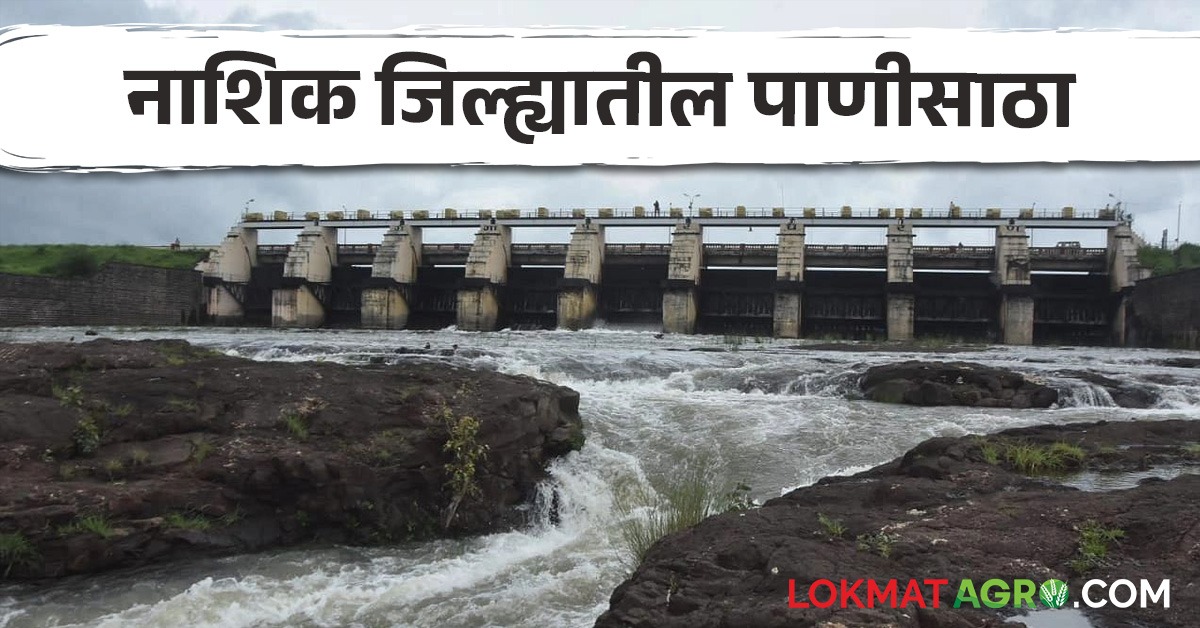 Nashik Dam Storage : नाशिकच्या गंगापूर धरणात किती पाणीसाठा उपलब्ध? वाचा ...