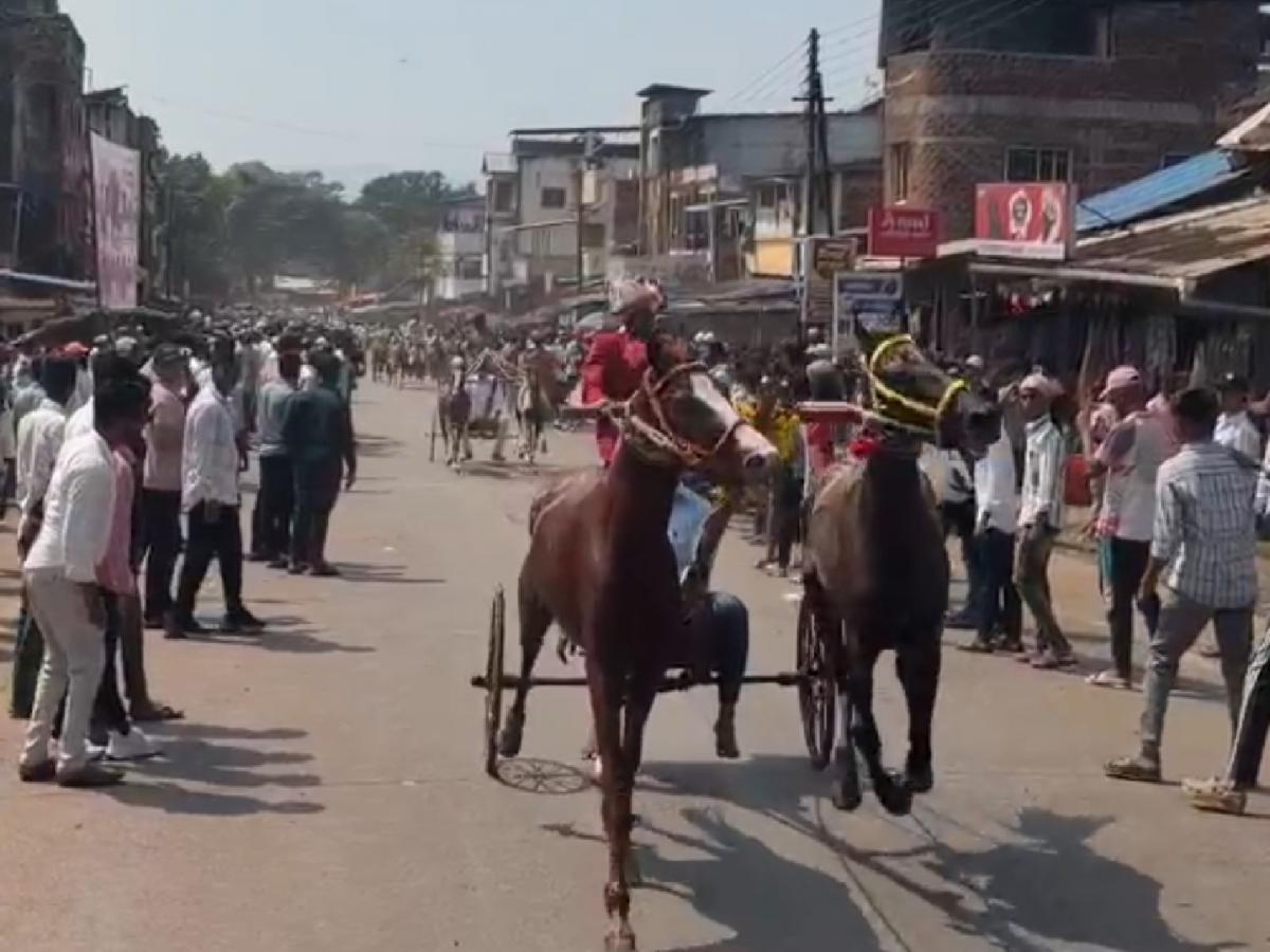 Kolhapur: केवळ दोन तासाच्या घोडागाडी सफरीसाठी मोजतात २५ हजार, गावची परंपरा जपण्यासाठी पोरं खर्चतात खिशातले ...