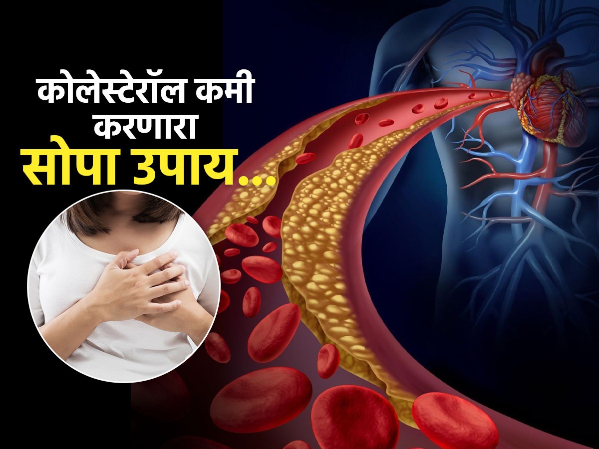 Saleem Rid Heart Attack टाळायचा असेल तर रोज खा स्वयंपाकघरातला ‘हा’ पदार्थ, कमी ...