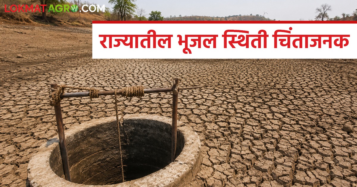 latest news Groundwater Alert: 55 watershed areas in the state in ...