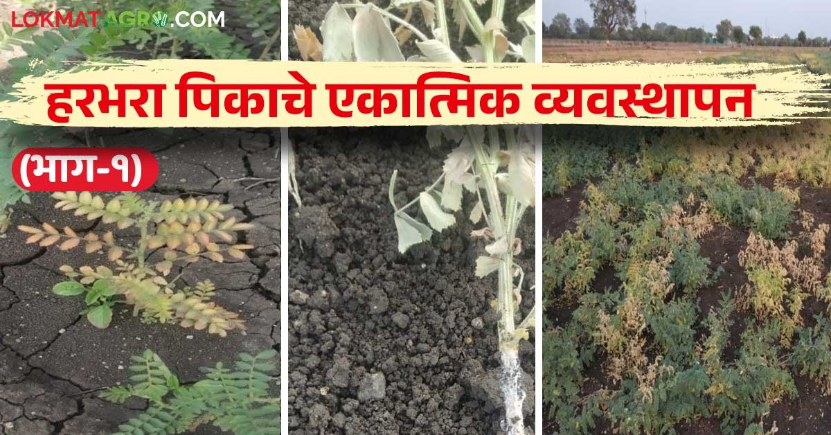Harbhara Rog Niyantran information read in details