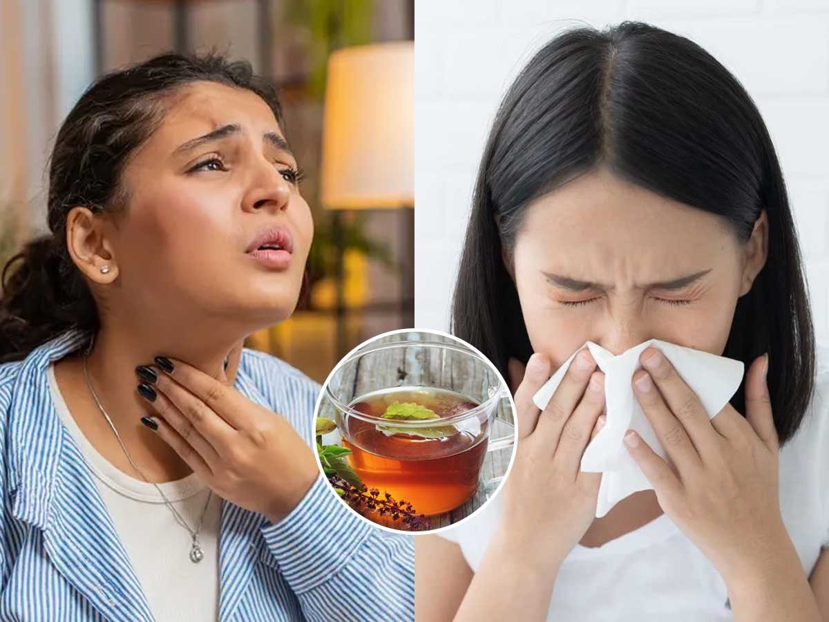 Baba Cold सर्दी-खोकला झाला तर चहा प्या, पाहा कफ मोकळा करणाऱ्या ‘हर्बल चहा’ची सोपी ...