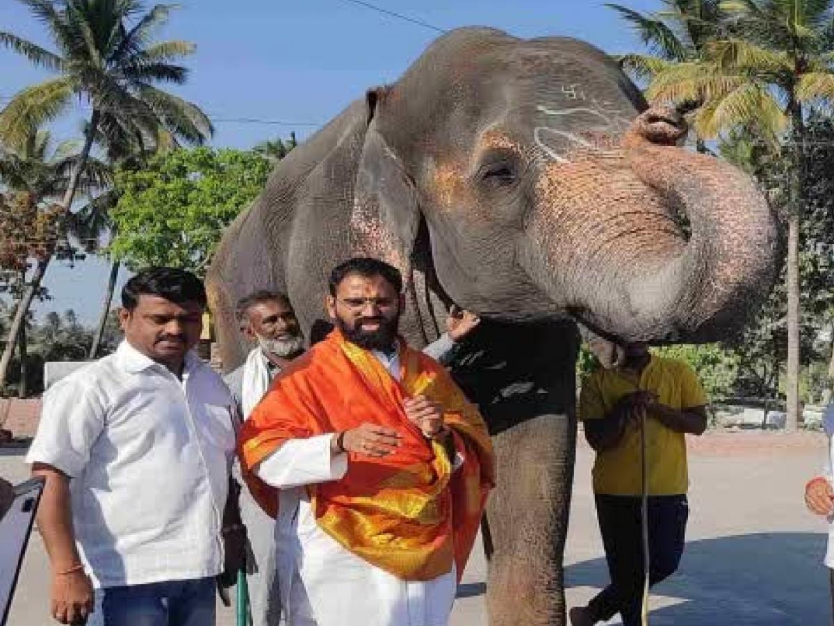 उपद्रवग्रस्त टस्कर न्या.., मठाचा हत्ती वनतारात कशाला नेता - सतेज पाटील ...