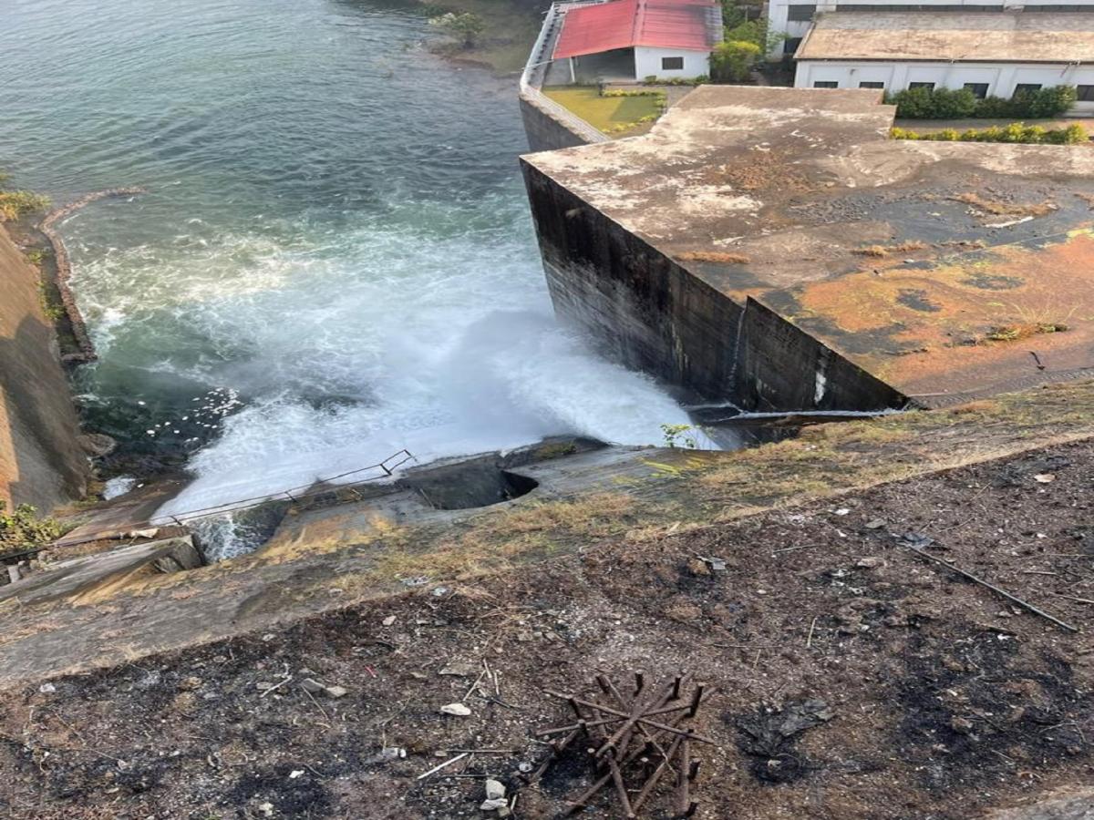 पाटबंधारेचा निष्काळजीपणा उठला राधानगरी धरणाच्या मुळावर, अधिकारी