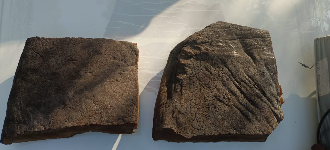 आजरा पोलीस व वनविभागाची कारवाई, जिल्ह्यातील सर्वात मोठी कारवाई