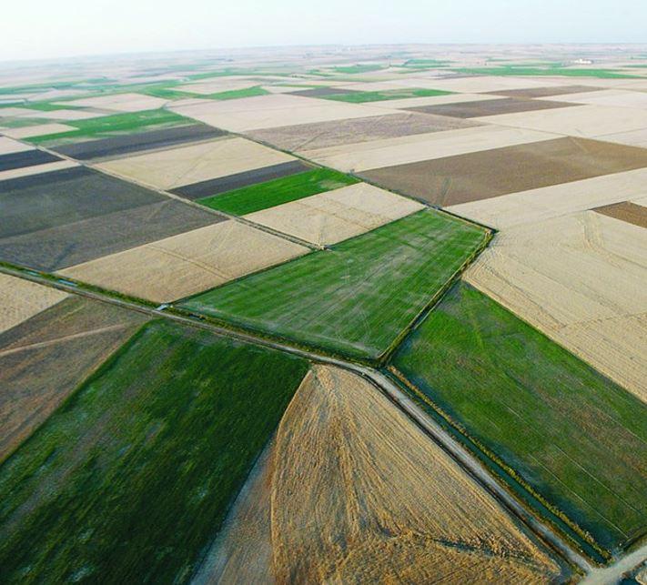 तुकडाबंदीमुळे शेतकरी सावकारी पाशात; अत्यावश्यक वेळीही विकता येईना जमीन